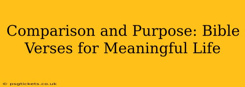 Comparison and Purpose: Bible Verses for Meaningful Life