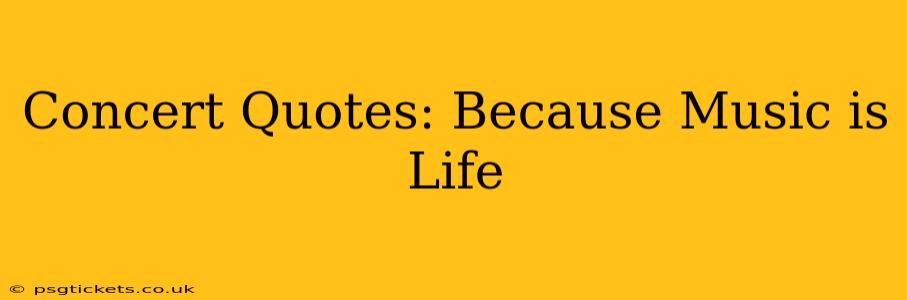 Concert Quotes: Because Music is Life