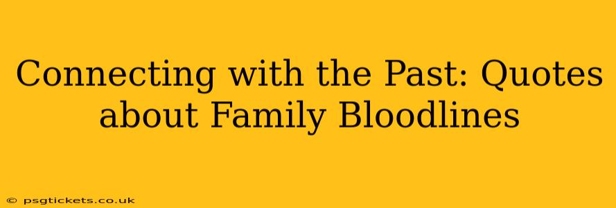 Connecting with the Past: Quotes about Family Bloodlines