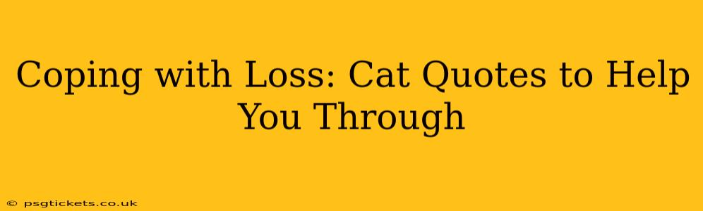Coping with Loss: Cat Quotes to Help You Through