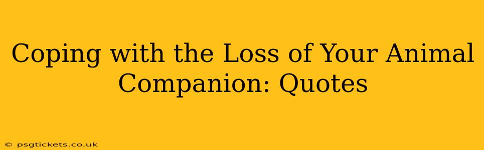Coping with the Loss of Your Animal Companion: Quotes
