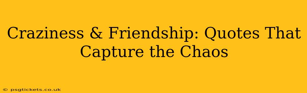 Craziness & Friendship: Quotes That Capture the Chaos