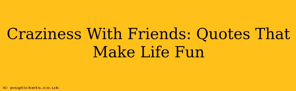 Craziness With Friends: Quotes That Make Life Fun