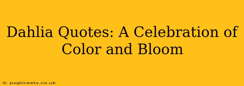Dahlia Quotes: A Celebration of Color and Bloom