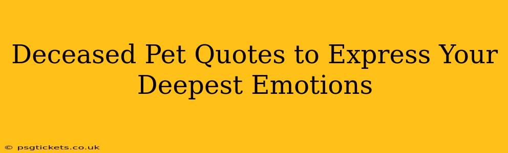 Deceased Pet Quotes to Express Your Deepest Emotions