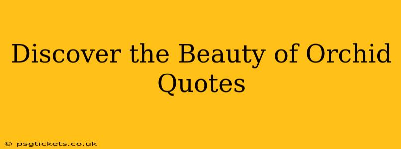 Discover the Beauty of Orchid Quotes