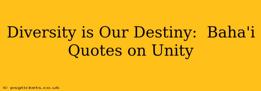 Diversity is Our Destiny:  Baha'i Quotes on Unity