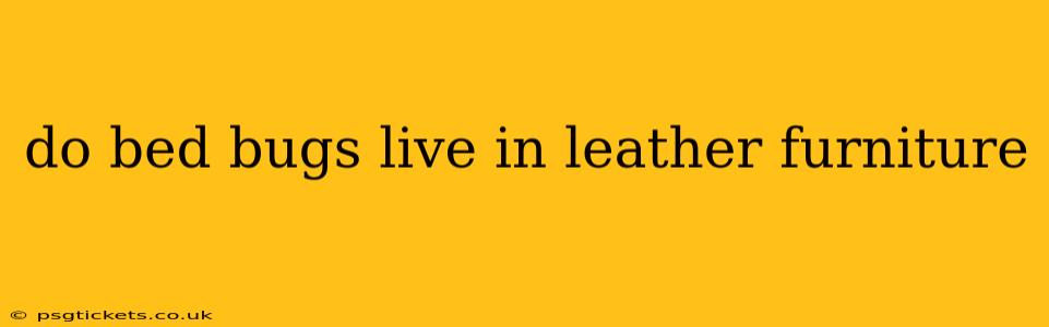 do bed bugs live in leather furniture
