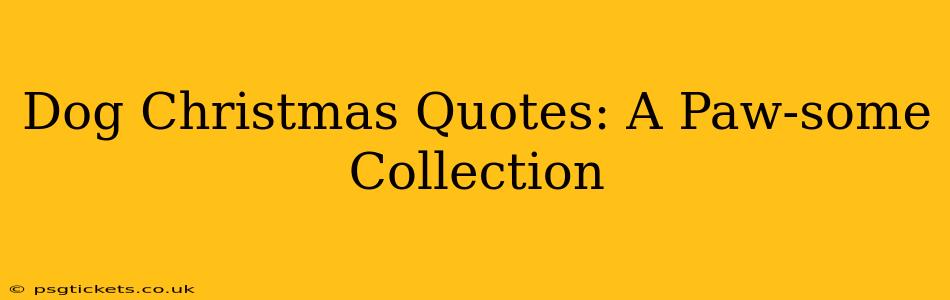 Dog Christmas Quotes: A Paw-some Collection
