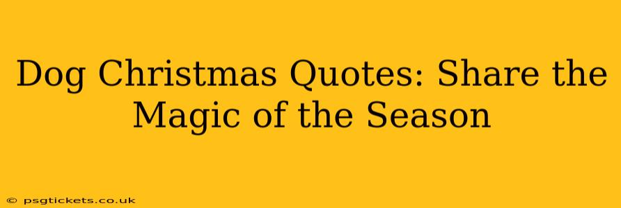 Dog Christmas Quotes: Share the Magic of the Season