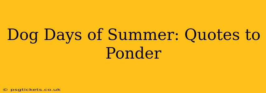 Dog Days of Summer: Quotes to Ponder