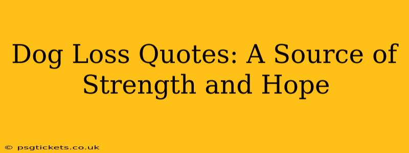 Dog Loss Quotes: A Source of Strength and Hope