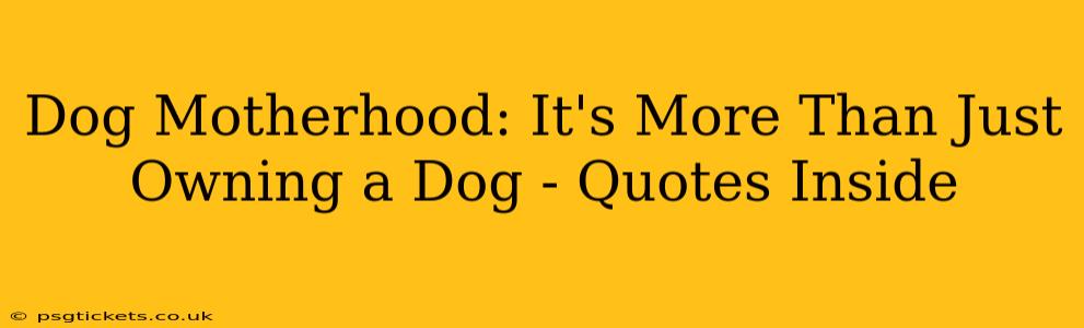 Dog Motherhood: It's More Than Just Owning a Dog - Quotes Inside