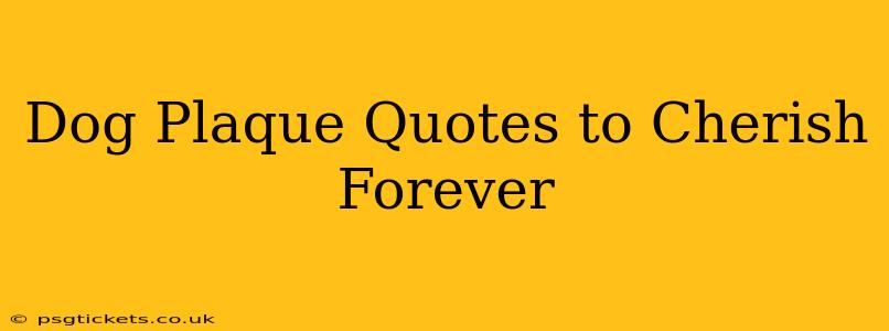 Dog Plaque Quotes to Cherish Forever