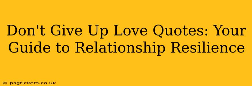 Don't Give Up Love Quotes: Your Guide to Relationship Resilience
