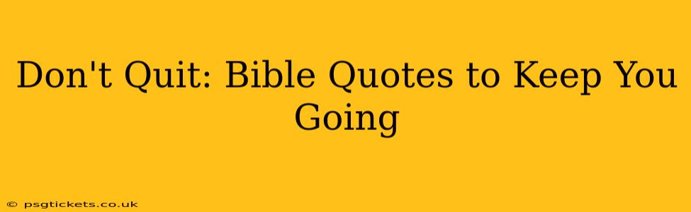 Don't Quit: Bible Quotes to Keep You Going