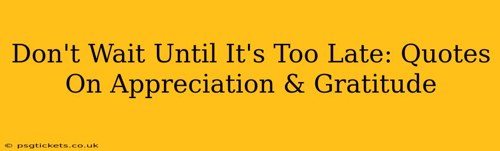 Don't Wait Until It's Too Late: Quotes On Appreciation & Gratitude