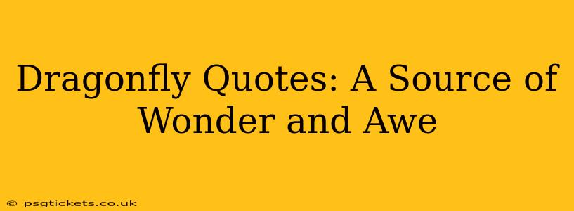 Dragonfly Quotes: A Source of Wonder and Awe
