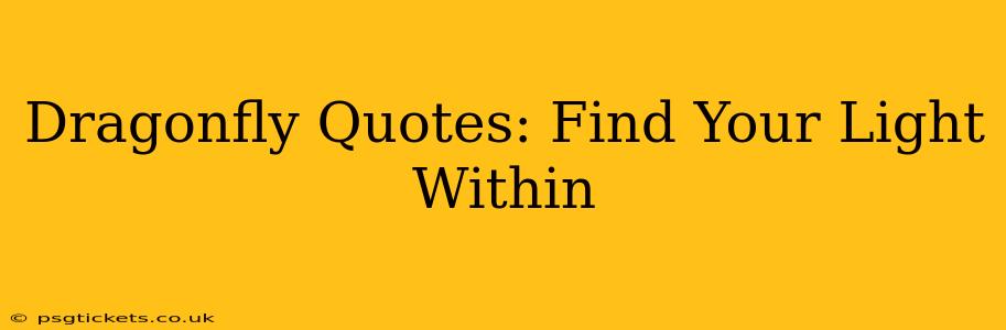 Dragonfly Quotes: Find Your Light Within