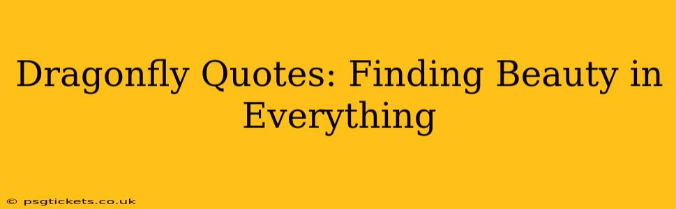 Dragonfly Quotes: Finding Beauty in Everything