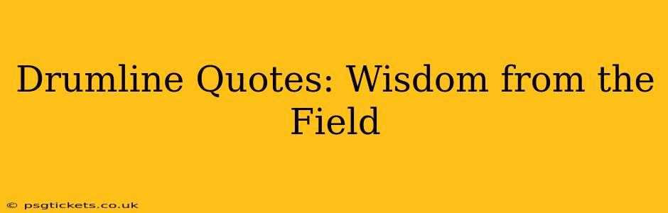 Drumline Quotes: Wisdom from the Field