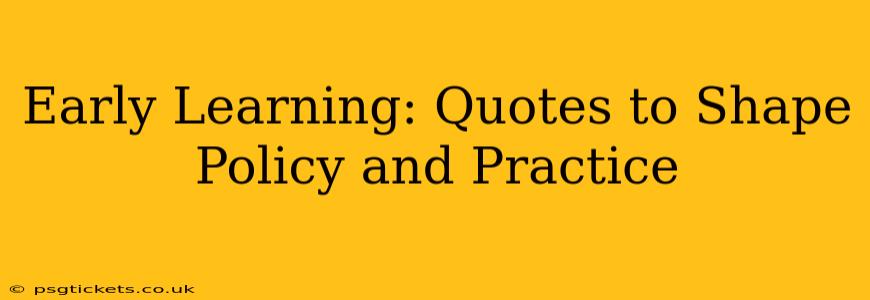 Early Learning: Quotes to Shape Policy and Practice