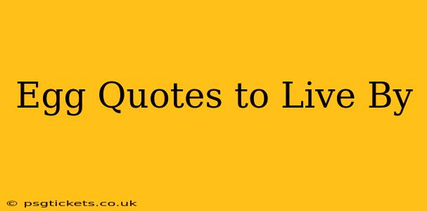 Egg Quotes to Live By