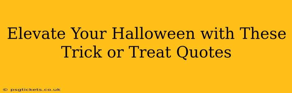 Elevate Your Halloween with These Trick or Treat Quotes