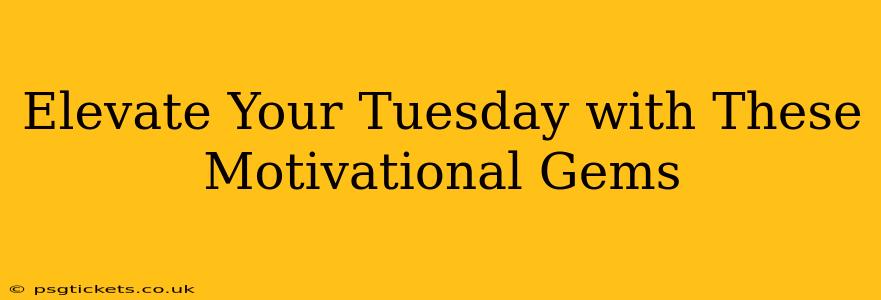 Elevate Your Tuesday with These Motivational Gems