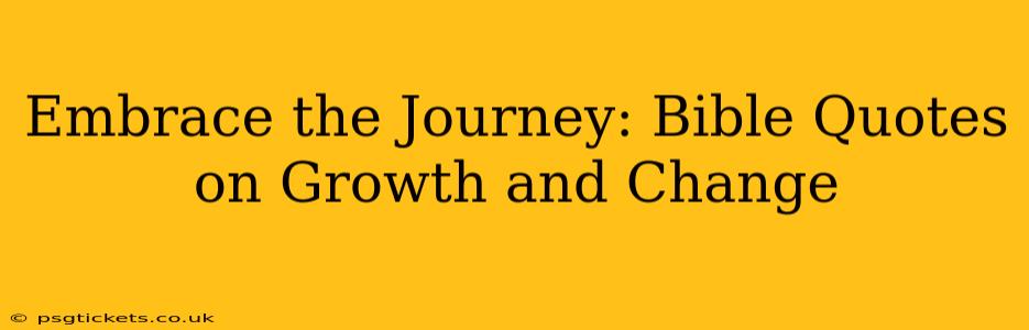 Embrace the Journey: Bible Quotes on Growth and Change