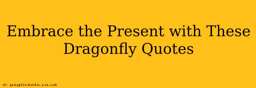 Embrace the Present with These Dragonfly Quotes