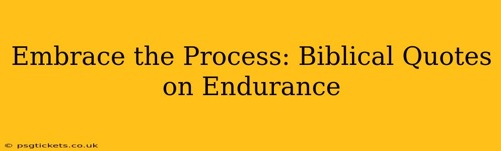 Embrace the Process: Biblical Quotes on Endurance