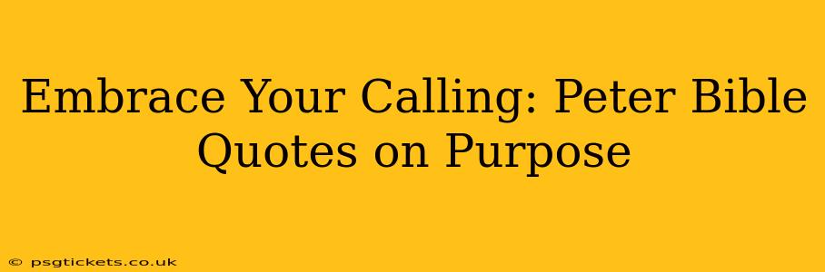 Embrace Your Calling: Peter Bible Quotes on Purpose