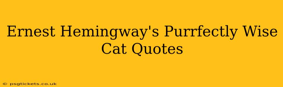 Ernest Hemingway's Purrfectly Wise Cat Quotes