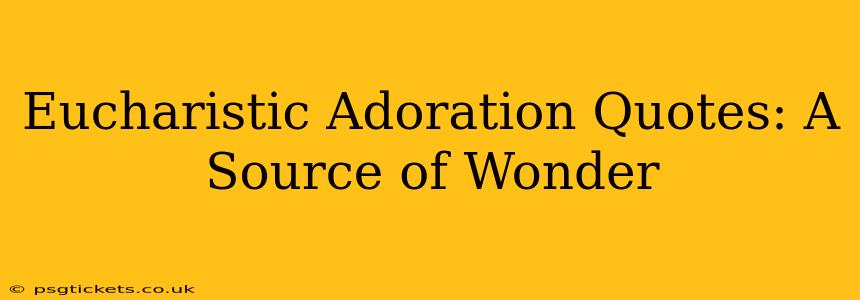 Eucharistic Adoration Quotes: A Source of Wonder