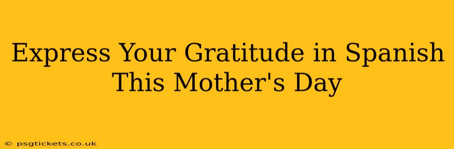 Express Your Gratitude in Spanish This Mother's Day