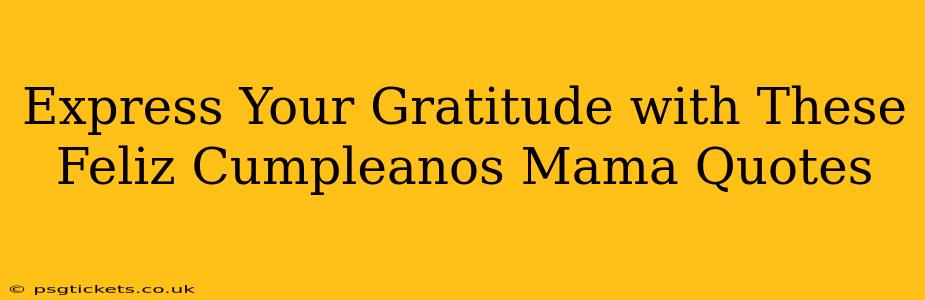 Express Your Gratitude with These Feliz Cumpleanos Mama Quotes
