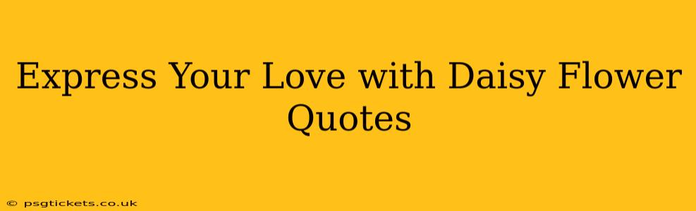 Express Your Love with Daisy Flower Quotes