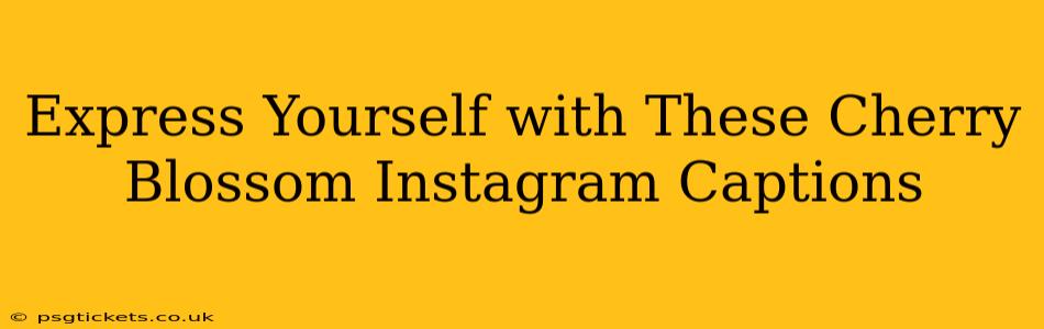 Express Yourself with These Cherry Blossom Instagram Captions