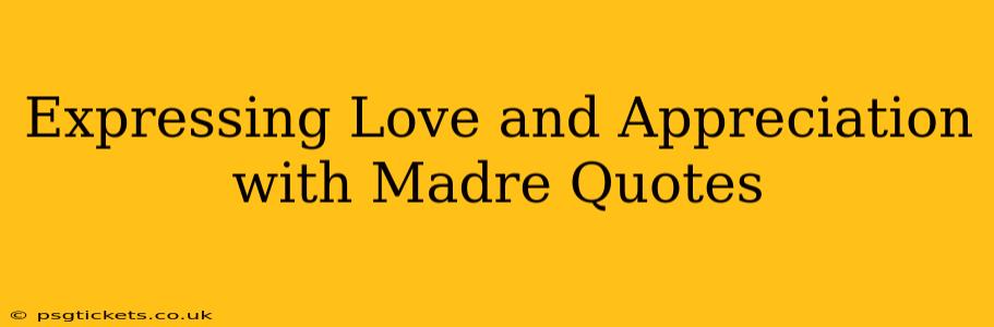 Expressing Love and Appreciation with Madre Quotes