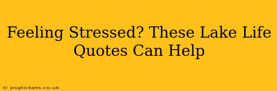 Feeling Stressed? These Lake Life Quotes Can Help