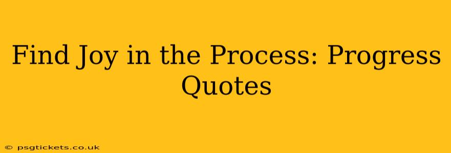 Find Joy in the Process: Progress Quotes