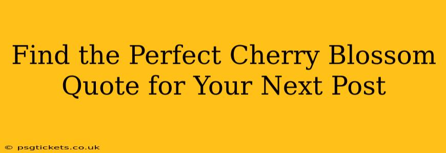 Find the Perfect Cherry Blossom Quote for Your Next Post