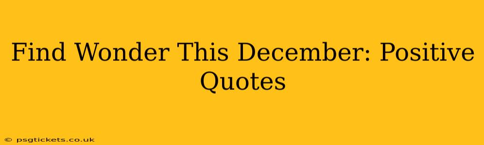 Find Wonder This December: Positive Quotes