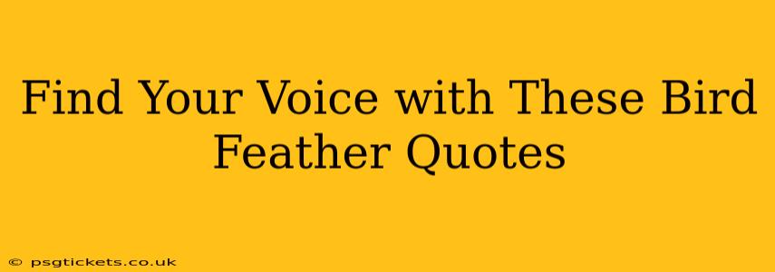Find Your Voice with These Bird Feather Quotes