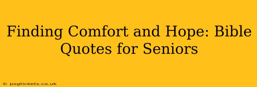 Finding Comfort and Hope: Bible Quotes for Seniors