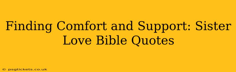 Finding Comfort and Support: Sister Love Bible Quotes