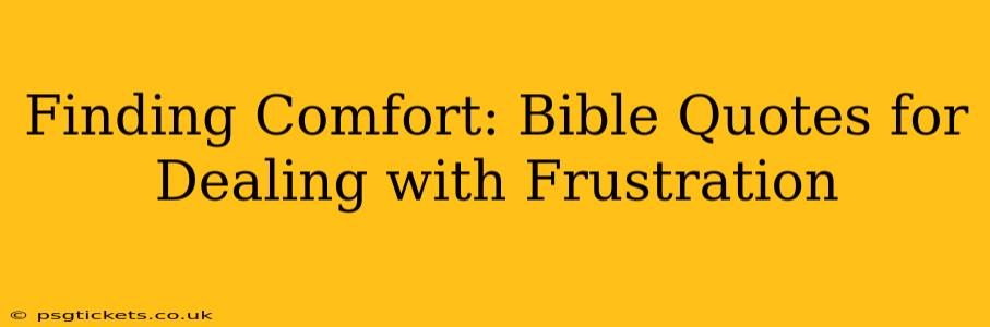 Finding Comfort: Bible Quotes for Dealing with Frustration
