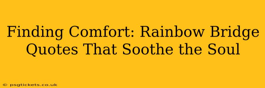 Finding Comfort: Rainbow Bridge Quotes That Soothe the Soul