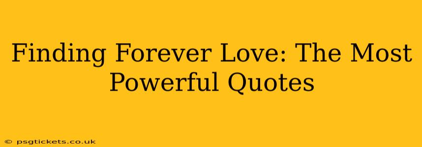 Finding Forever Love: The Most Powerful Quotes